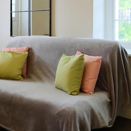 A Luxurious City Centre White Regency Townhouse With Terrace & Patio * Dublin